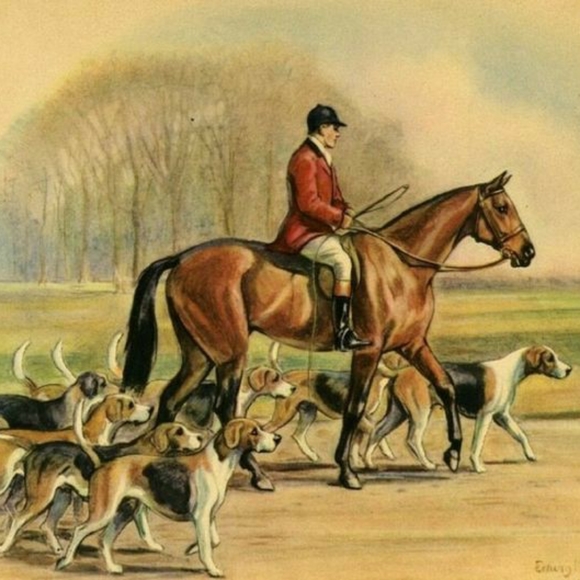 Meet your Posher, Kalilah - Picture 2 of 5